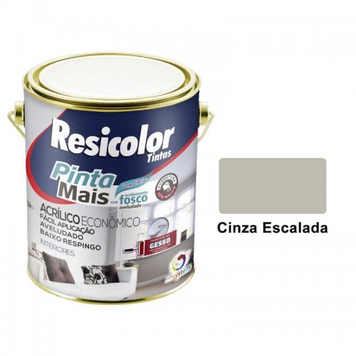 TINTA ACR.ECON.PINTA MAIS  3,6L CZ ESCAL