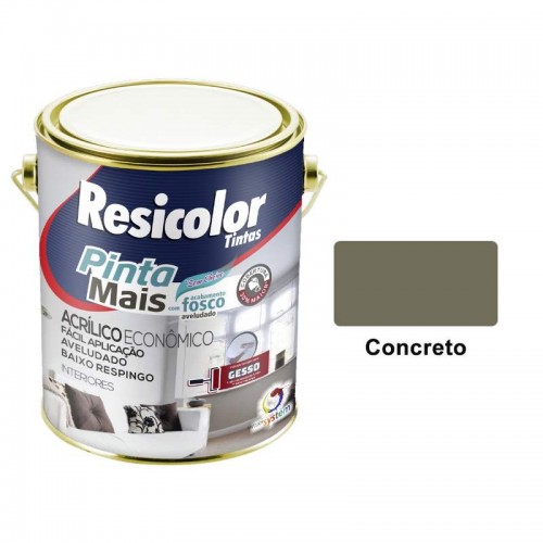 TINTA ACR.ECON.PINTA MAIS  3,6L CONCRETO